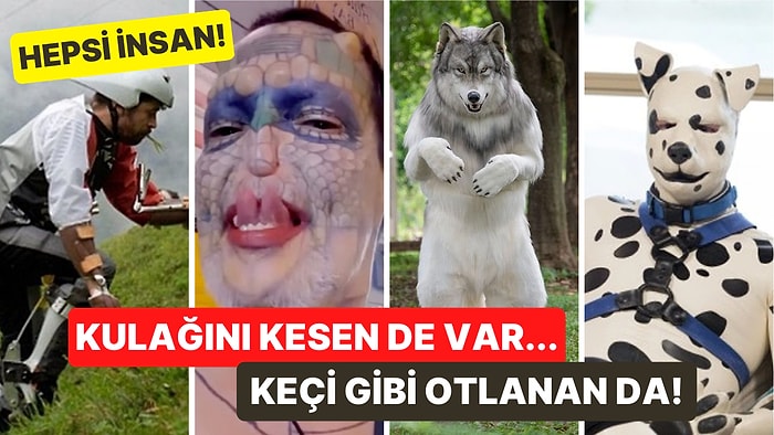 Kulağını Kesenden Köpek Maması Yiyene Hayvan Olmak İçin Binlerce Lira Harcayan Birbirinden Tuhaf İnsanlar