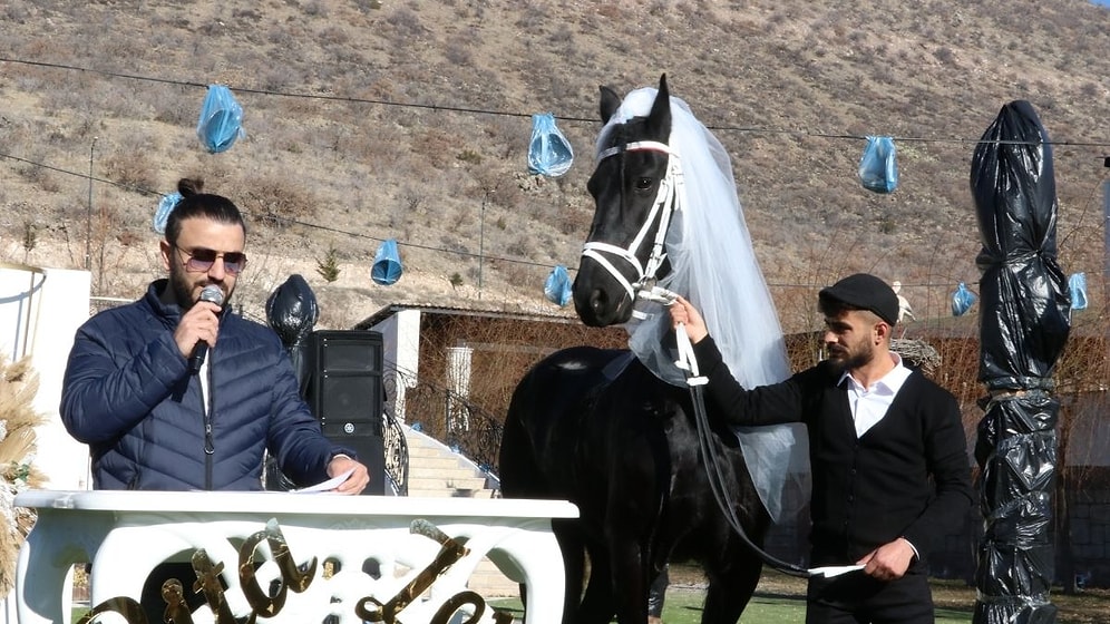 Atlara 'Düğün' Yaptılar: 2 At da Nikah Şahidi Oldu