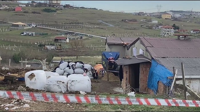 Yem Ayrıştırma Makinesine Düşen Çoban Ağır Yaralandı