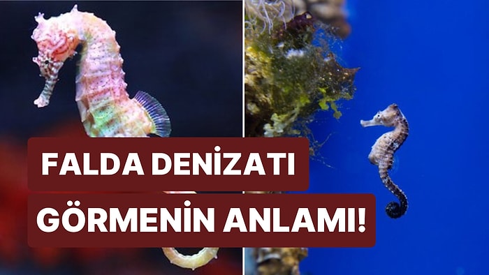 Falda Denizatı Görmek Ne Anlama Gelir? Fedakâr Bir Sevgili Sizi Bekliyor!