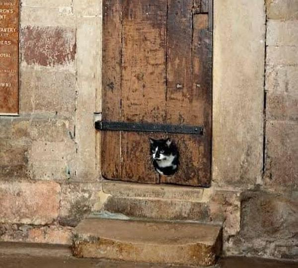 4. 1598-1621 yılları arasında kediler için katedrallerde böyle küçük kapılar bulunuyordu: Böylece fareleri yakalıyor ve karınları doyuyordu.