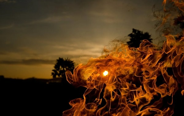 Овен, Лев или Стрелец!