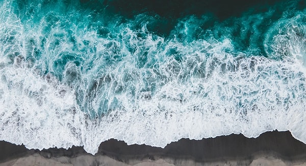 Рак, Скорпион или Рыбы!