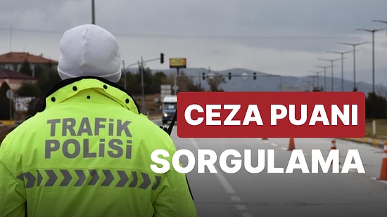 Ehliyet Ceza Puanı Sorgulama: Ceza Puanı Nedir, Ne Zaman Sıfırlanır? Hangi Ceza Kaç Puan?