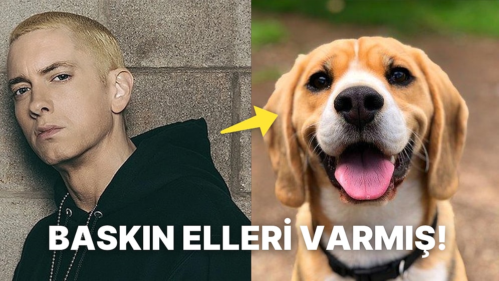 Daha Önce Hiçbir Yerde Duymadığınızı İddia Ettiğimiz Ortamlarda Satılacak Birbirinden İlginç 17 Gerçek