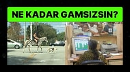 Verdiğin Cevaplara Göre Ne Kadar Gamsız Olduğunu Söylüyoruz!