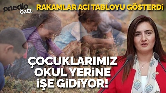 Eğitimde Acı Tablo: '1 Milyon 495 Bin 415 Çocuk, Okul Hayatından Mahrum Kaldı'