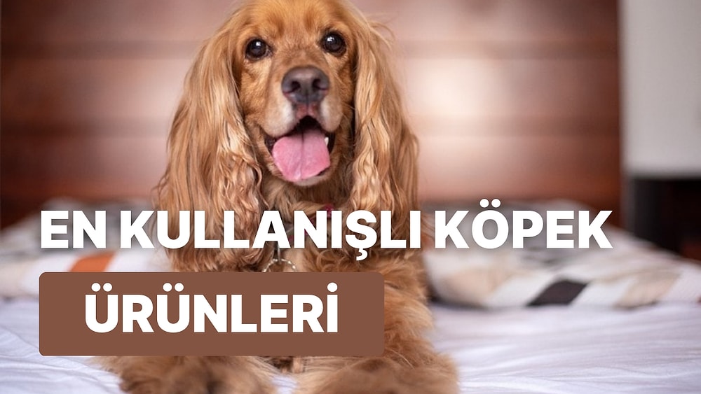 Yeni Bir Köpek Sahibiyseniz, Yorum Yapanların Olmazsa Olmaz Olduğunu Söylediği Bu 19 Ürüne Göz Atın!