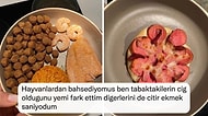 Evcil Hayvanlarına Dört Dörtlük Menü Hazırlayan Twitter Kullanıcısı Sosyal Medyayı İkiye Böldü