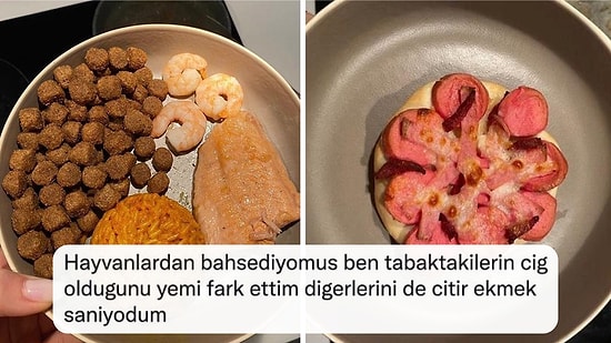Evcil Hayvanlarına Dört Dörtlük Menü Hazırlayan Twitter Kullanıcısı Sosyal Medyayı İkiye Böldü