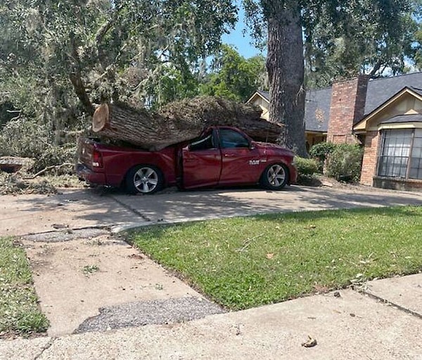 29. «Сосед захотел срубить мертвое дерево и нанял подрядчика, а тот сделал небольшую ошибку в просчетах»