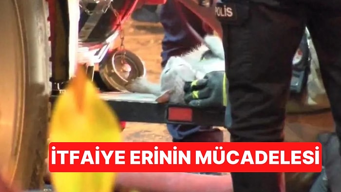 Yangında Kalbi Duran Kedi Tüm Çabalara Rağmen Hayata Döndürülemedi