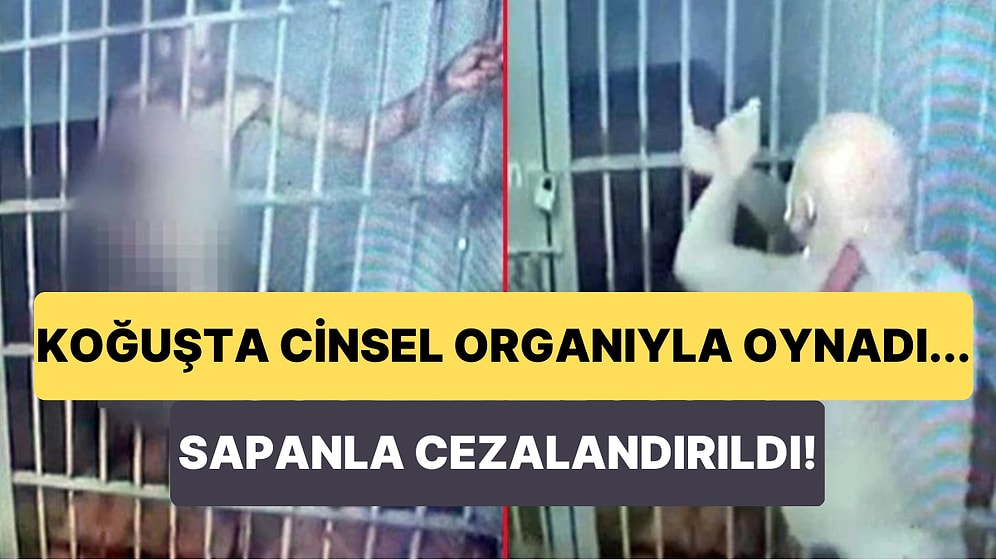 Koğuşta Cinsel Organıyla Oynayan Çıplak Mahkuma Gardiyandan Şoke Eden Ceza