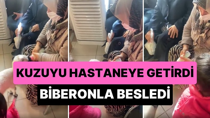 Peşini Bırakmayan Kuzuyu Hastaneye Getiren Kadın Sıra Beklerken Biberonla Besledi