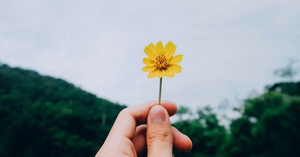 11. Что вы чувствуете, глядя на фото?