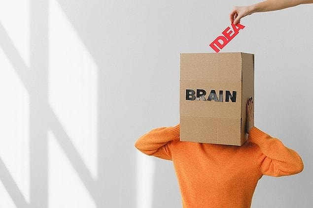 What happens in our brain when we learn new informations?
