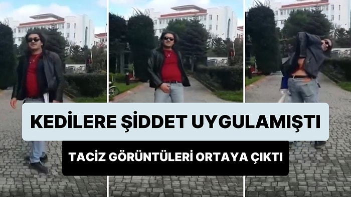 Site İçindeki Kedileri Tekmeleyen Şahsın Kendisini Uyaran Bir Kadını Taciz Ettiği Görüntüler Ortaya Çıktı