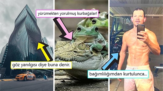 Gördüğünüz Anda İçinizin Yağlarını Eritip Sizi Pamuk Gibi Yapacak Birbirinden Etkileyici 17 Görsel
