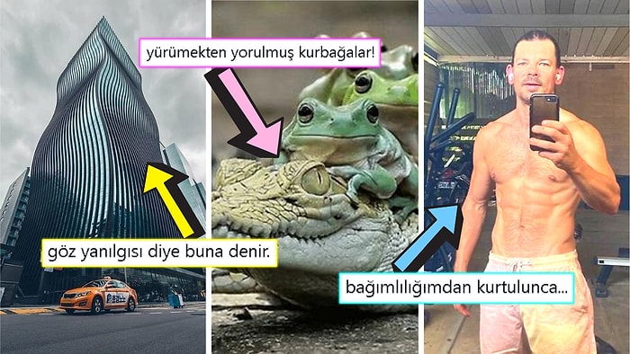 Gördüğünüz Anda İçinizin Yağlarını Eritip Sizi Pamuk Gibi Yapacak Birbirinden Etkileyici 17 Görsel