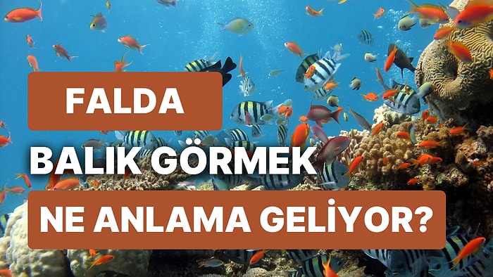 Falda Balık Görmek Ne Demektir? Aman Dikkat: Kaçan Balık Büyük Olur Derler, Falda Çıkan Kısmetinizi Kaçırmayın