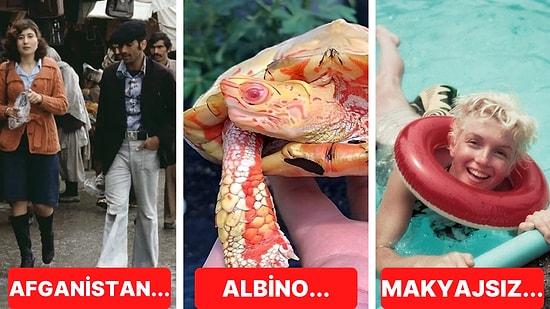 Tarihten Günümüze Hayatı Sorgulamanıza Sebep Olmaya Aday Birbirinden İlginç 17 Görsel