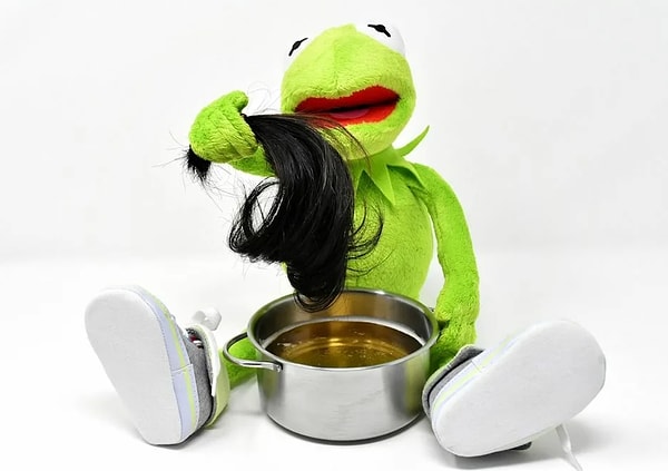 10. Мы все ели свои волосы, находясь в утробе