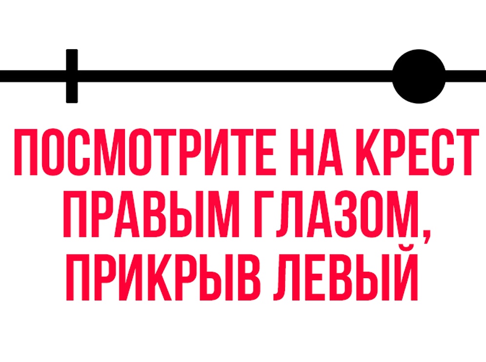 15 диких фактов о человеческом теле, которые увлекут вас на очень-очень долго