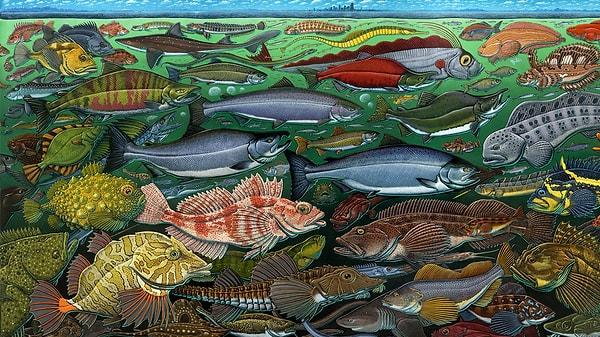 Doğu ve Batı mitolojilerinin birçoğunda kutsal kabul edilen balık, Türk mitolojisinde dünyayı üzerinde taşıyan canlı olarak tasvir edilmiştir. Bereket, bolluk, refah ve hayat gücünün sembolü balık falda ne anlama geliyor?
