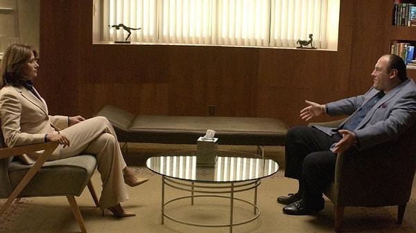Tony ve psikiyatristi Melfi ilk başlarda daha kısıtlı konular üzerinden konuşurlarken, dizinin ilerleyen bölümlerinde Tony psikiyatristine tam anlamıyla içini dökerek arkadaşlık, suç, şiddet, aşk, aile gibi konularla ilgili konuşmaya başlar.