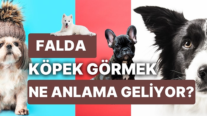 Falda Köpek Görmek Ne Demektir? Sadık Dostlarınızdan Hayırlı Haberler Sizi Bekliyor