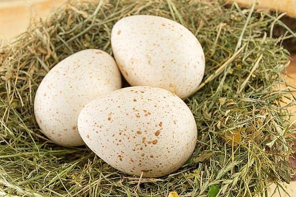 Üretimi az olan hindi yumurtası bu nedenden dolayı pahalıdır. Ayrıca kabukları da çok kalın olduğu için sıklıkla tüketilmez.