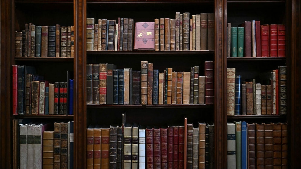 20 Books That Will Draw You In and Make You Want to Become a Character