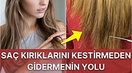 Kırılan ve Yıpranmış Saçlar İçin En İyi Kırılma Karşıtı Şampuan Tavsiyeleri