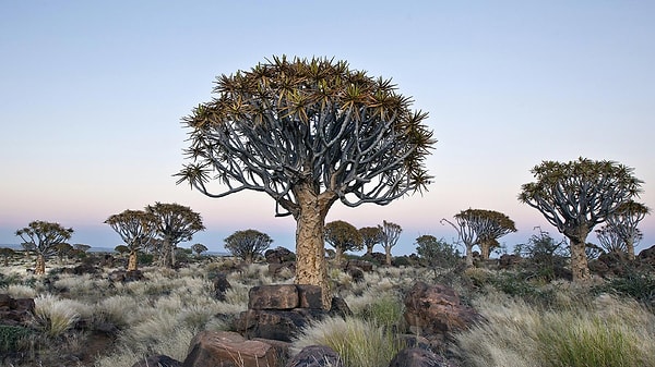 1. Начнем: как называется линия на нулевом градусе широты?