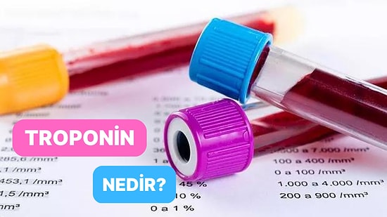 Kas ve İskelet Kas Protein Ailesi: Troponin Nedir?