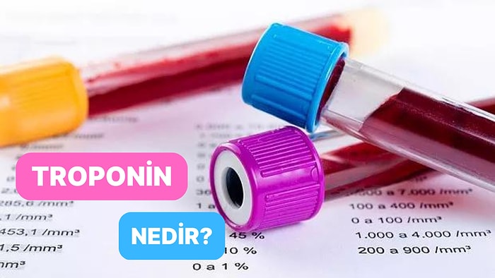 Kas ve İskelet Kas Protein Ailesi: Troponin Nedir?