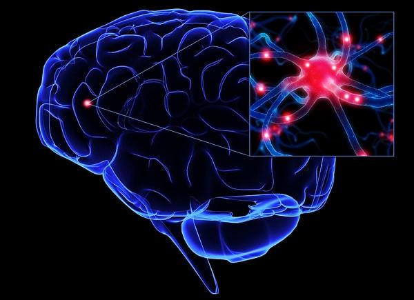 Beyinde başlayan aşk, vücudun tüm sinir ağı tarafından yönetiliyor.