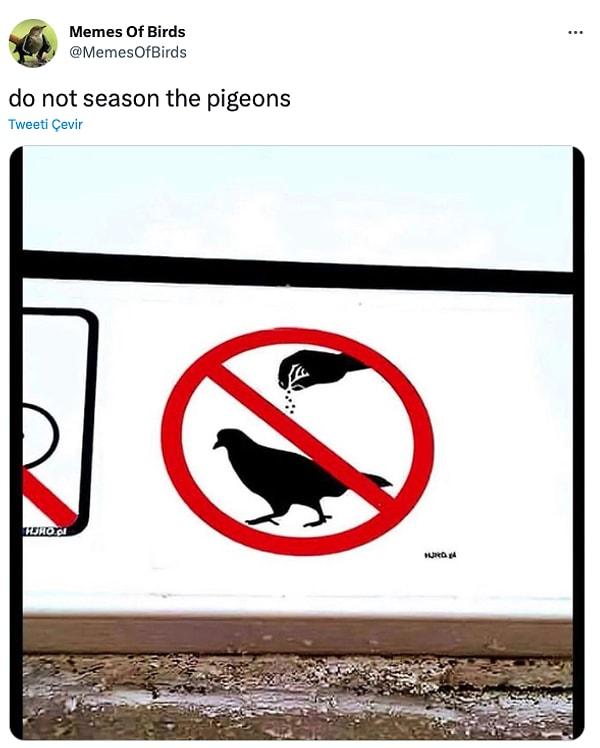 6. "Güvercinleri baharatlamayın"