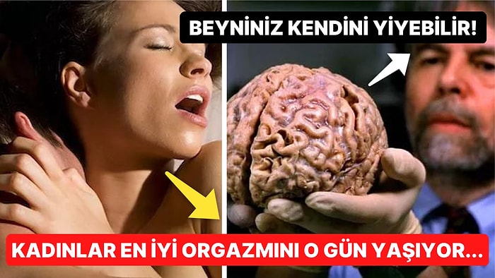 Öğrendiğiniz Anda Kültürünüze Kültür Katıp İnsan Vücudunu Yeniden Keşfedeceğiniz Birbirinden İlginç 15 Gerçek