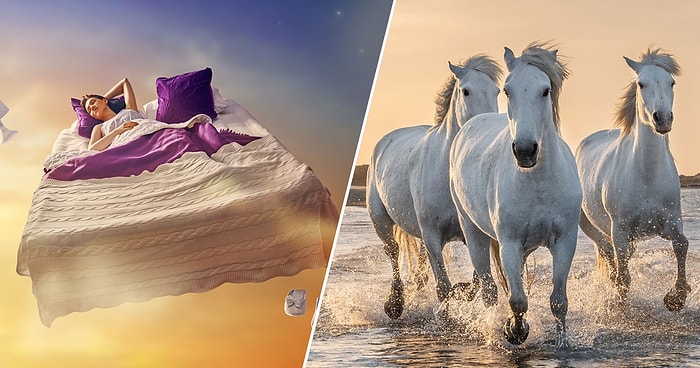 Тест: Продолжите как бы закончился ваш сон 💤 , а мы скажем, какое у вас тотемное животное