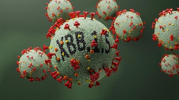 Erişkin Bağışıklaması Çalışma Grubu'nun yaptığı açıklamada koronavirüsünün 'kraken' adıyla anılan 'XBB.1.5' varyantının Türkiye'de başlamış olabileceği söylendi.