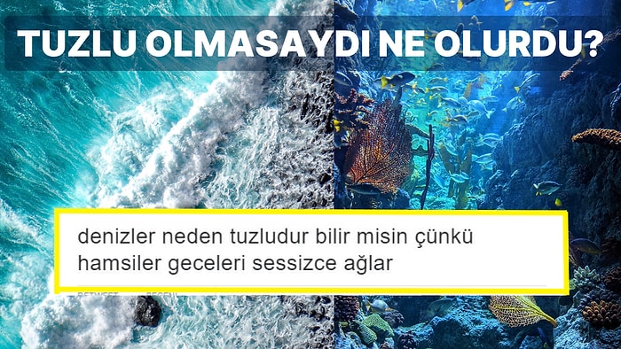 Akıllardaki Soruları Yanıtlıyoruz: Okyanus ve Deniz Suyu Neden Tuzludur?