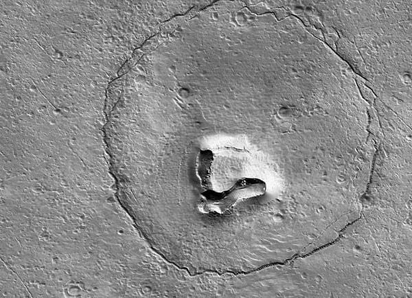 8. Arizona Üniversitesi Mars'ta ayı buldu 👇