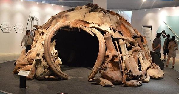 15. Mamut kemiklerinden yapılmış 25.000 yıllık bir kulübenin yeniden inşası 👇
