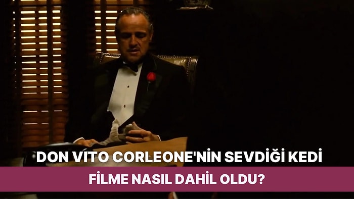 The Godfather Filminde Don Vito Corleone'nin Sevdiği Kediyle Ne Mesaj Verildiği Yıllar Sonra Ortaya Çıktı!