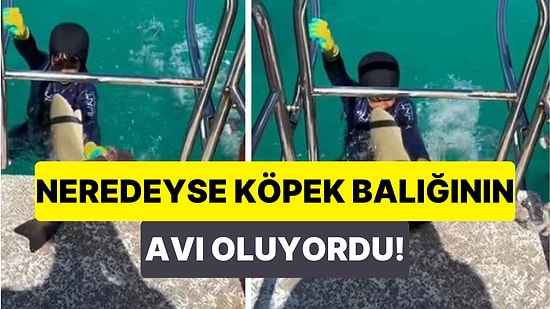 Balık Tutarken Köpek Balığı Saldırsına Uğrayan Çocuğun Yaşadığı Korku Dolu Anlar