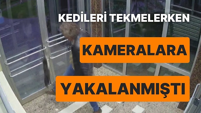 Kedi Tekmelediği Görüntülerle Sosyal Medyada İnfial Yaratan Adam Gözaltında