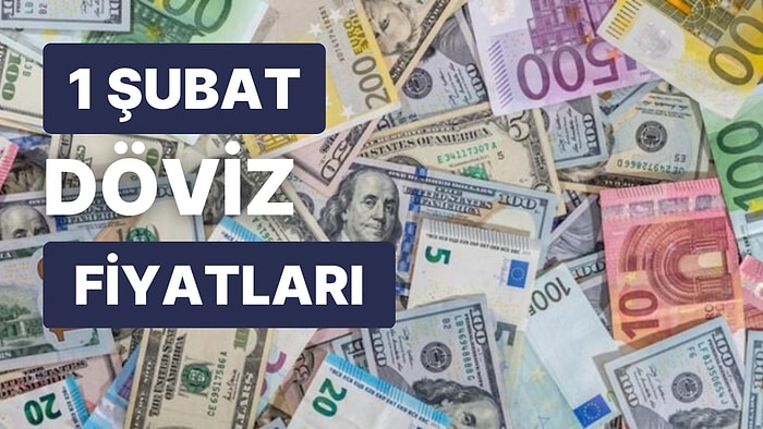 1 Şubat 2023 Güncel Döviz Kuru USD Fiyatı: Bugün Dolar Fiyatı Ne Kadar? 1 Dolar Ne Kadar, Kaç TL?