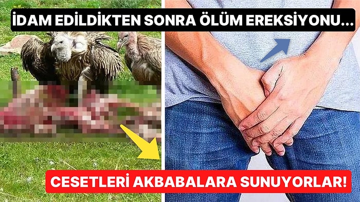 Her Gün 153 Bin İnsan Ölüyor! Mutlaka Bilmek İsteyeceğiniz Ölümle İlgili En İlginç 15 Bilgi