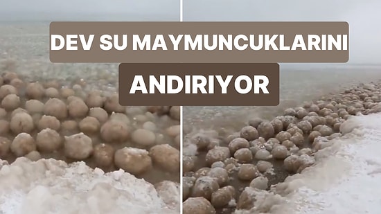 Buzdan Yumurtalarla Dolu Gibi Görünen Okyanus Görüntüsü Sosyal Medyada Viral Oldu!